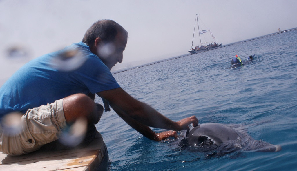 hátvakarós omer.jpg