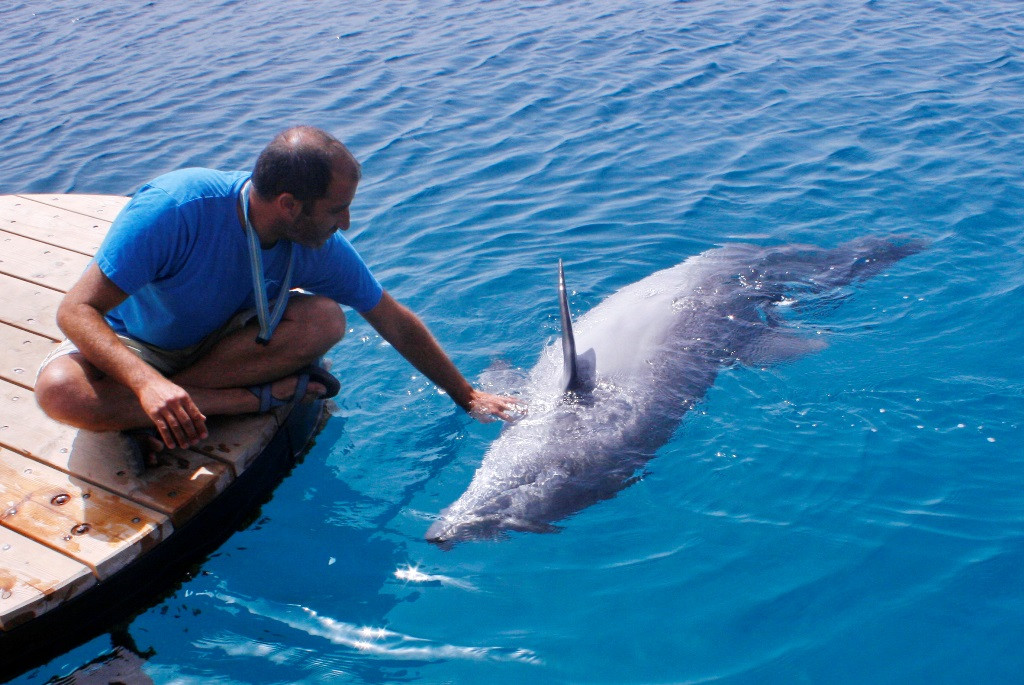 omer hasvakarás.jpg