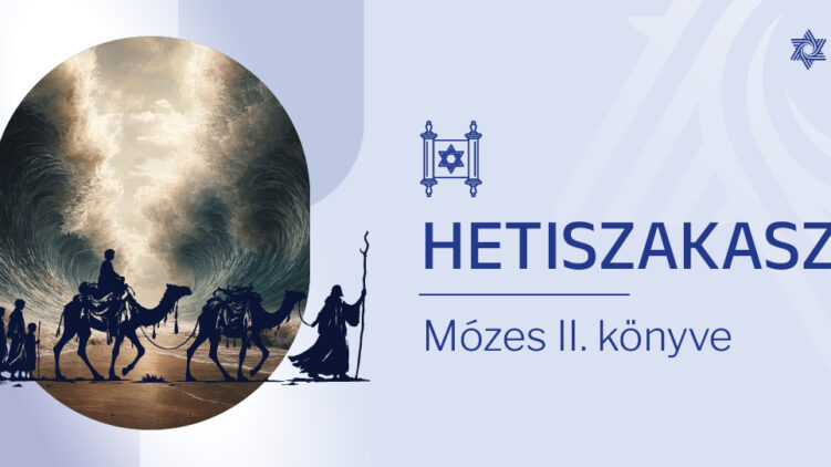 8. Tecávé 27,20–30,10