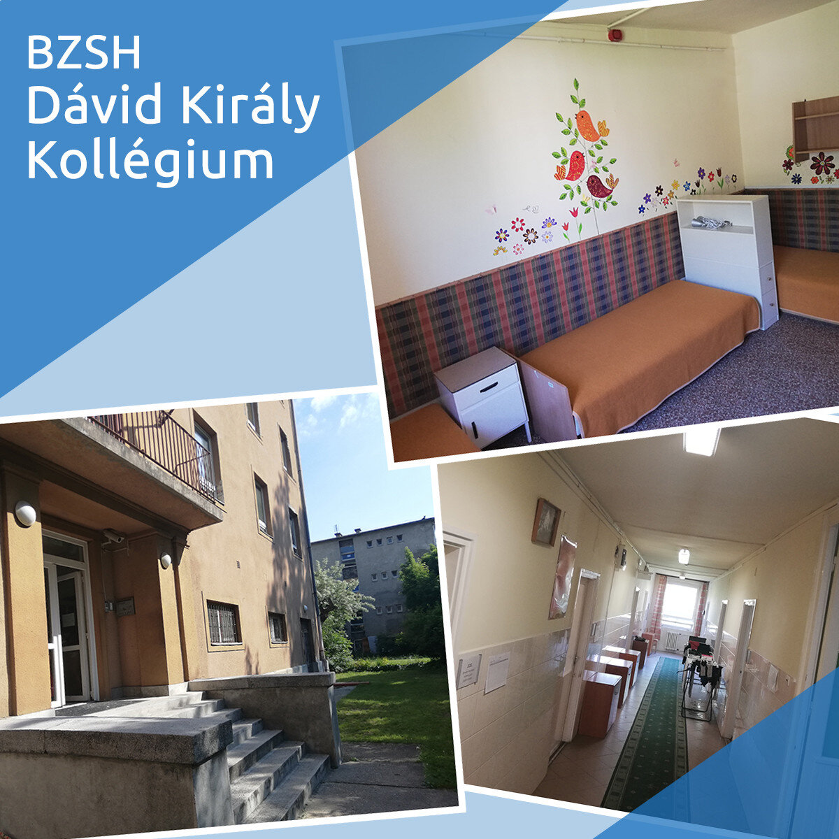 bzsh-dávidkirály-kollégium.jpg
