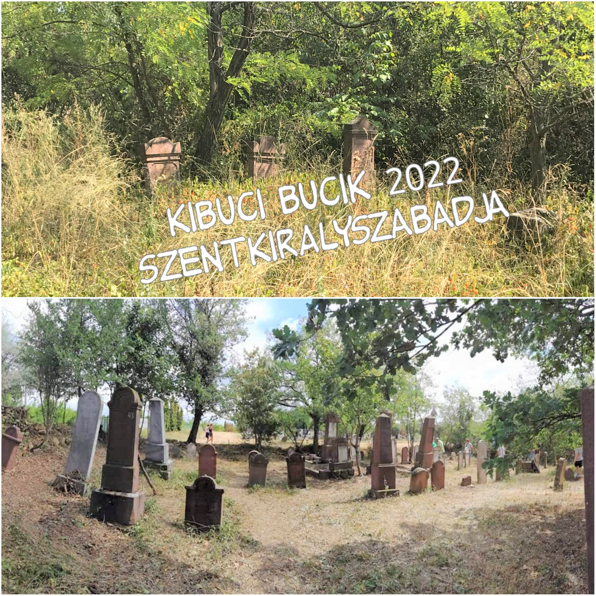 Szentkirályszabadja (2).jpg
