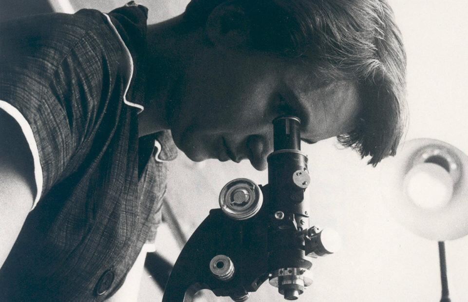 SN_rosalind_franklin_home02-961x620.jpg