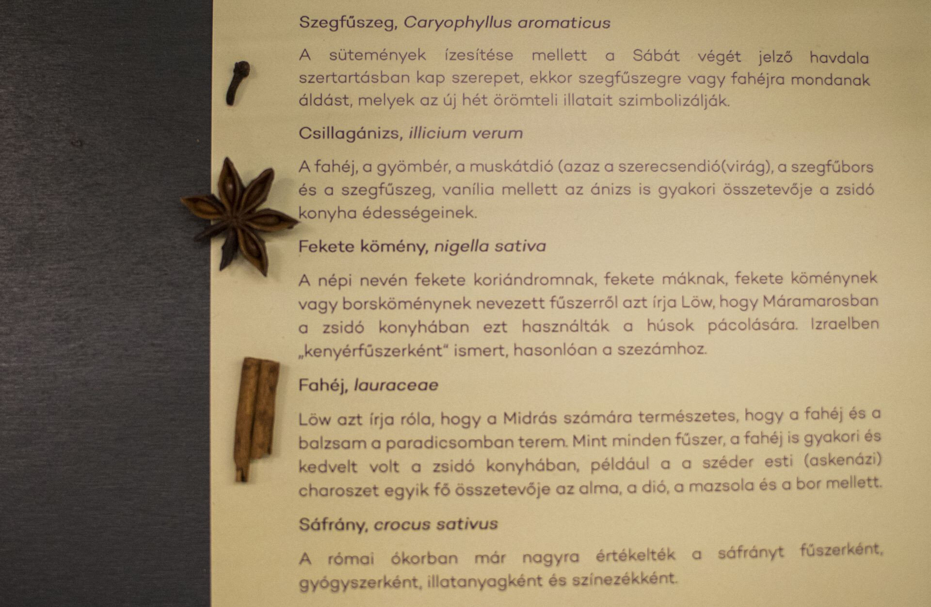 Fotók: Szabó Luca / szeged.hu