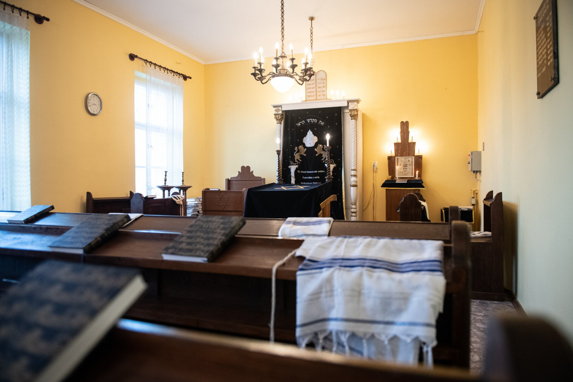 474581342_1355179169255420_3512642322292755961_n (1).jpg