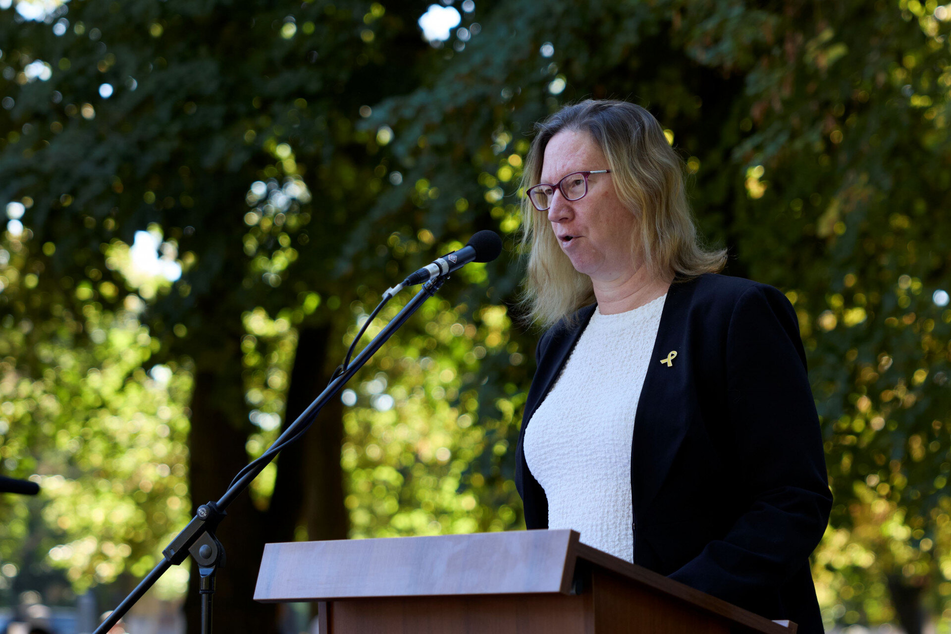 Maya Kadosh, Izrael állam magyarországi nagykövete