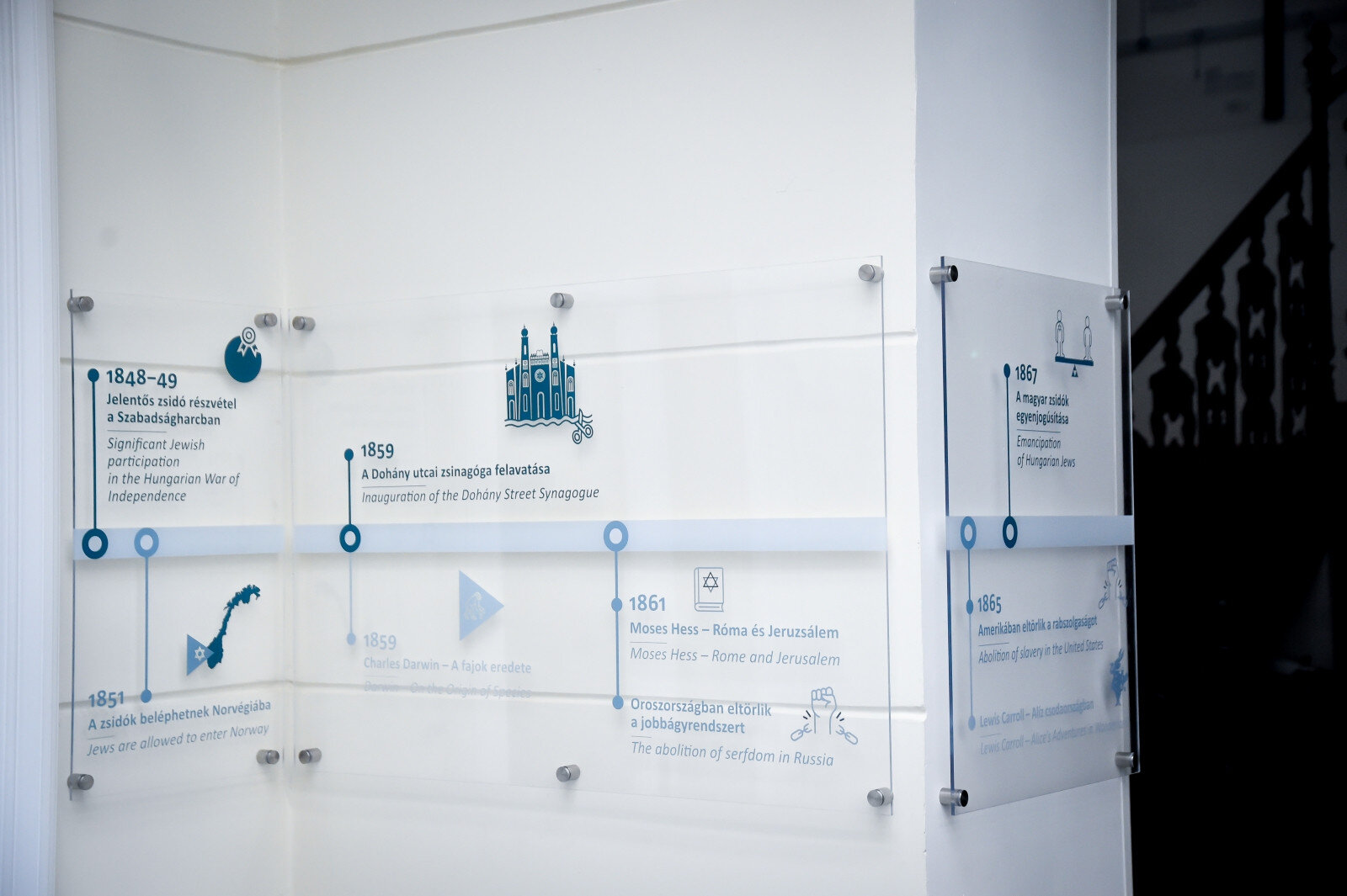 Csányi_5_inst (2).jpg