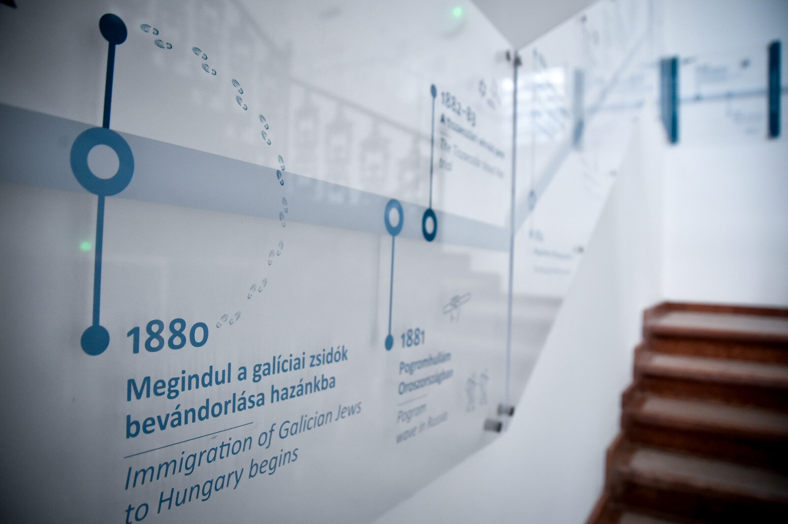 Csányi_5_inst (3).jpg