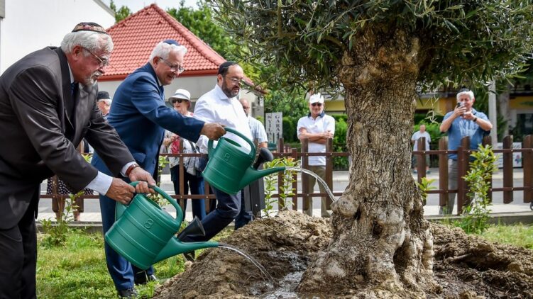 Olajfa a jövőnek, emléktábla a múltnak – A siófoki zsinagóga 40. évfordulóját ünnepeltük